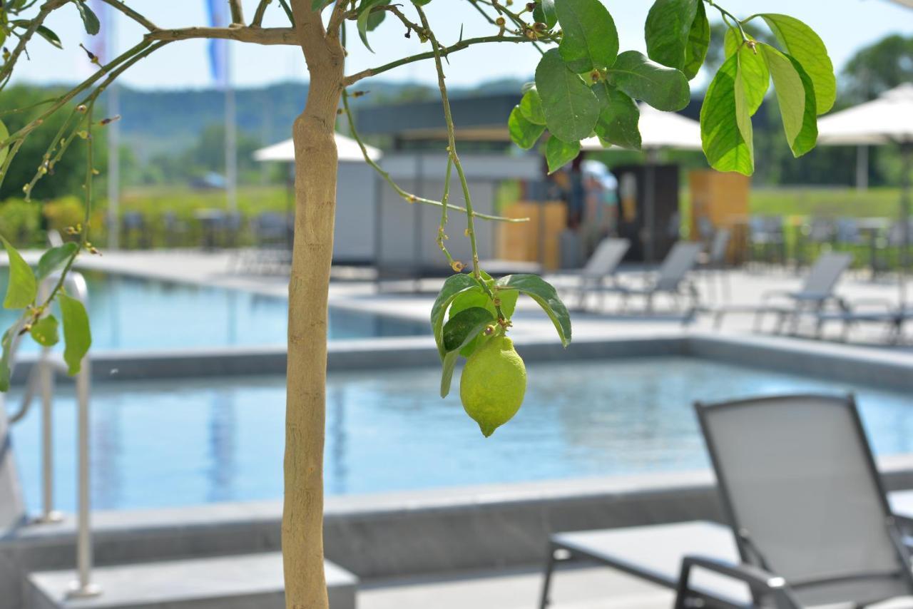Mk Hotel Tirana Rinas Exterior foto The swimming pool